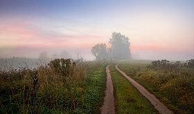 Дорога в туман | Фотограф Сергей Шабуневич | foto.by фото.бай