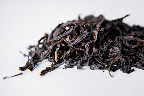 Фотограф Жасмина Германова, фотография добавлена 25.10.2025