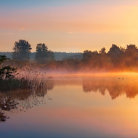 Солнечное утро | Фотограф Сергей Шабуневич | foto.by фото.бай