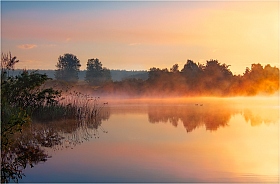 Солнечное утро | Фотограф Сергей Шабуневич | foto.by фото.бай