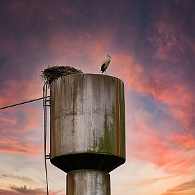 фотограф Владимир Ковалёв. Фотография "Символ"