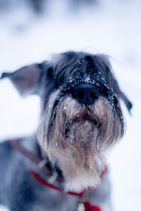 Юлия Мурыгина - фотограф, фотография добавлена 30.03.2021