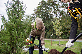 Работа фотографа Сергей Тарасов