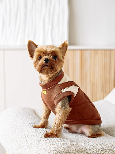 Анна Островская - фотограф, фотография добавлена 14.01.2026