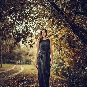 фотограф Сергей Пилтник. Фотография "Осень пришла..."