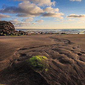 Песок и время | Фотограф Владимир Науменко | foto.by фото.бай