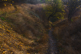 ... про осень. | Фотограф Сергей Лысенко | foto.by фото.бай