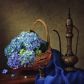 Натюрморт с голубой гортензией | Фотограф Ирина Приходько | foto.by фото.бай