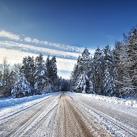 Снежный путь | Фотограф Стас Аврамчик | foto.by фото.бай
