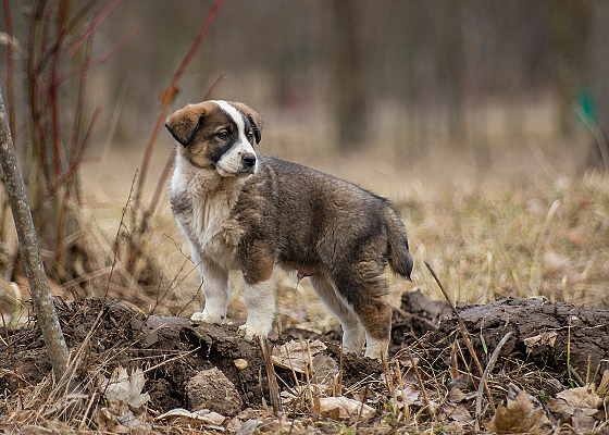Фотограф Татьяна Скуратович, фотография добавлена 03.04.2019
