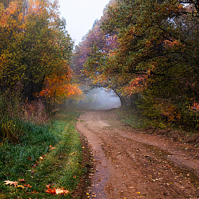 Дорога в туман | Фотограф Сергей Шабуневич | foto.by фото.бай