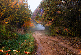 Дорога в туман | foto.by фото.бай