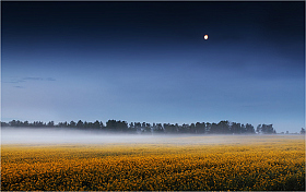 Про поле и туман | Фотограф Сергей Шабуневич | foto.by фото.бай