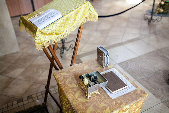 Фотограф Дмитрий Гусалов, фотография добавлена 22.07.2019