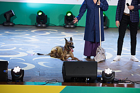 Работа фотографа Сергей Тарасов