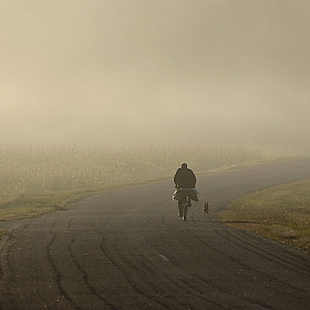 Вдвоём по утренней дороге | Фотограф Сергей Шляга | foto.by фото.бай