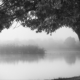 Утро около озера | Фотограф Сергей Ласута | foto.by фото.бай