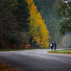 По дороге в осень | Фотограф Сергей Пожога | foto.by фото.бай