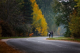 По дороге в осень | Фотограф Сергей Пожога | foto.by фото.бай