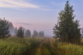 Сквозь сон. | Фотограф Mihail | foto.by фото.бай