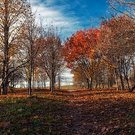 Осенний день | Фотограф Сергей Шабуневич | foto.by фото.бай