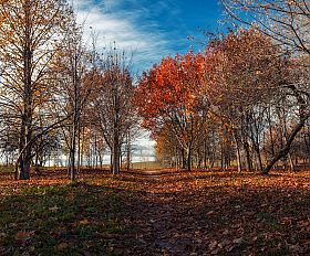 Осенний день | Фотограф Сергей Шабуневич | foto.by фото.бай