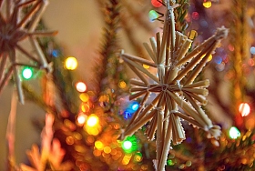 christmas star | Фотограф Андрей Башкирцев | foto.by фото.бай
