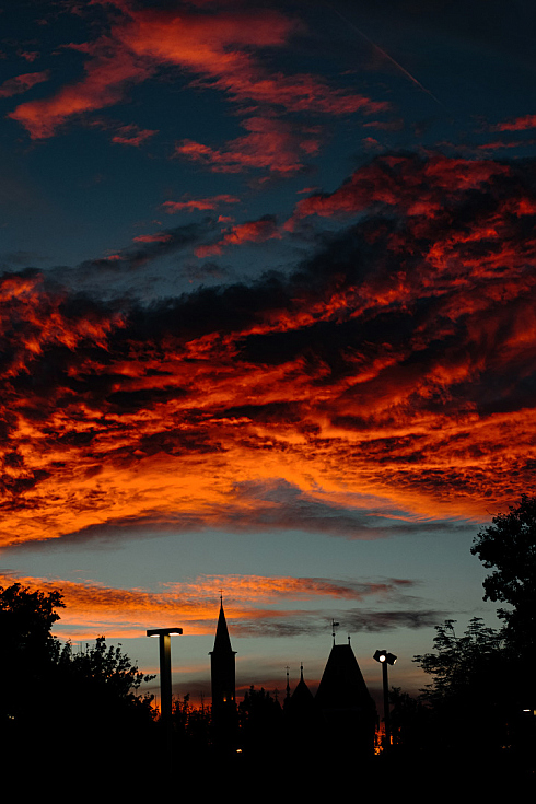 Фотограф Мария Войтик, фотография добавлена 16.02.2026