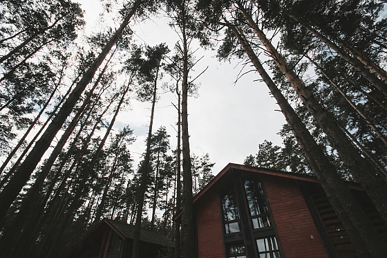 Фотограф Кирилл Емельянов, фотография добавлена 12.05.2019