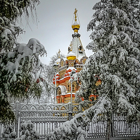 В зимнем парке | Фотограф Виктор Позняков | foto.by фото.бай
