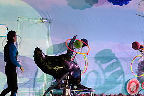 Работа фотографа Сергей Тарасов