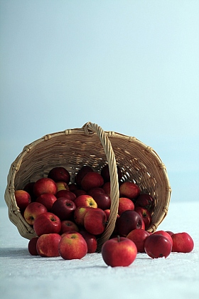 Яблочное настроение (1) | Фотограф Павел Бурак | foto.by фото.бай