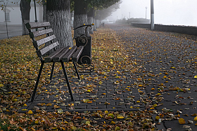Ну вот и осень | Фотограф Александр Шатохин | foto.by фото.бай