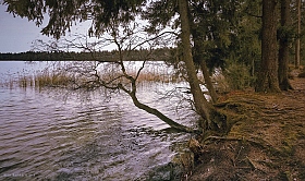 Озеро Свитязь | Фотограф Диана Буглак-Диковицкая | foto.by фото.бай