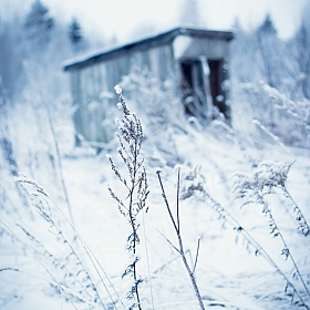 Одинокая сторожка | Фотограф Артем Латышев | foto.by фото.бай
