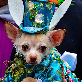 *** | Фотограф Andrei Savitsky | foto.by фото.бай