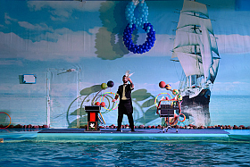 Работа фотографа Сергей Тарасов