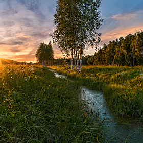 летний вечер | Фотограф Виталий Полуэктов | foto.by фото.бай