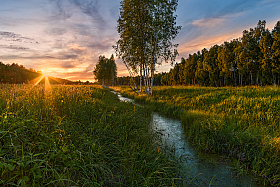 летний вечер | Фотограф Виталий Полуэктов | foto.by фото.бай