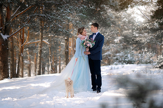 Фотограф Андрей Павлов, фотография добавлена 22.03.2018