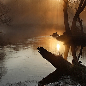 фотограф Игорь Денисов. Фотография "Утро на реке"