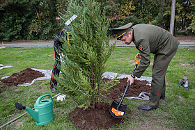 Работа фотографа Сергей Тарасов