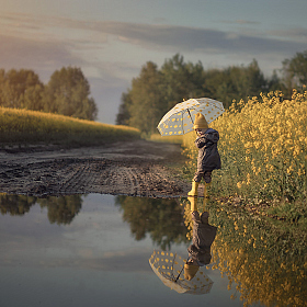 фотограф Анна Балабан. Фотография "После дождя"