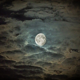 фотограф Дмитрий Гусалов. Фотография "Красотка луна"